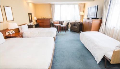 Deluxe Double or Twin Room