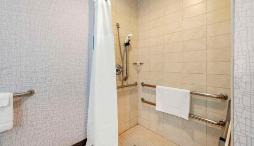 King Suite with Roll-In Shower - Accessible/Non-Smoking