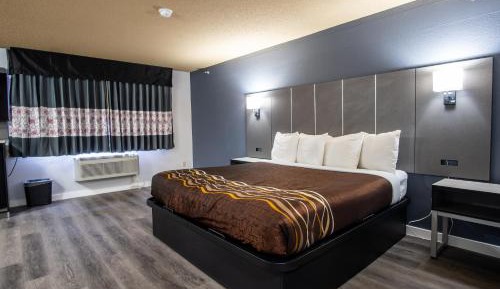 Studio with Sofa Bed