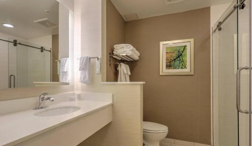 Executive King Suite with Sofa Bed