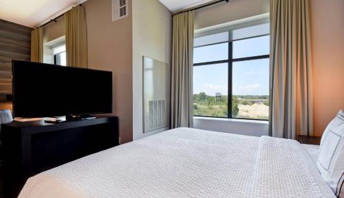 Studio, 1 King, Sofa bed