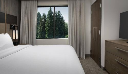 One-Bedroom King Suite with Sofa Bed and Mountain View