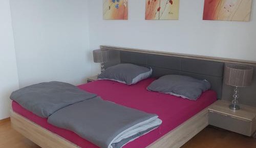 Three-Bedroom Apartment with View