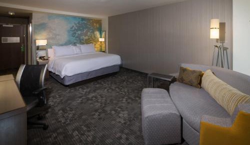 King Room with Sofa Bed - Hearing Accessible