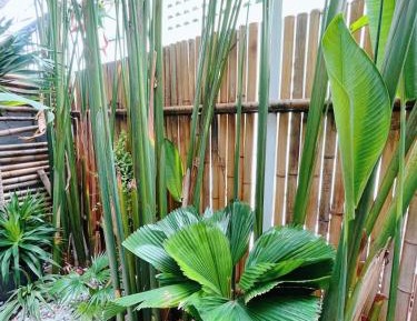 Apartment with Garden View