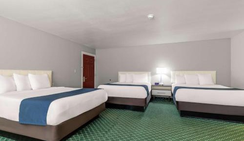 Studio Suite with Three Queen Beds - Non-Smoking