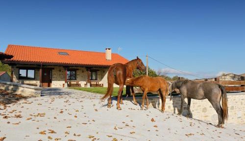 Four-Bedroom Holiday Home