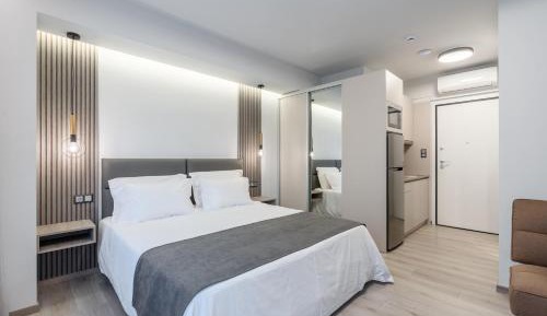 Deluxe One-Bedroom Apartment