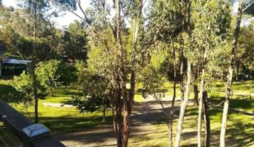 Double Room with Park View