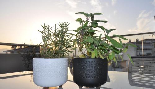 One-Bedroom Apartment with View