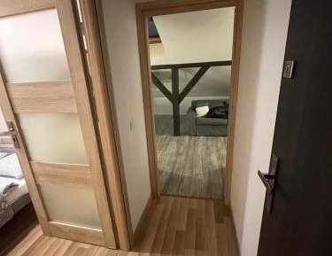 One-Bedroom Standard Apartment