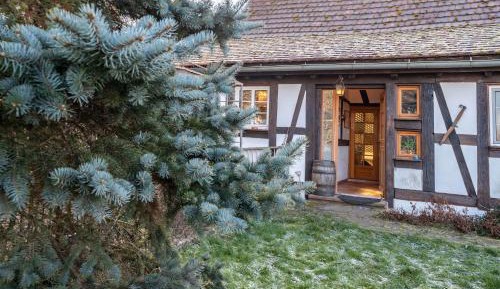 Superior One-Bedroom Apartment