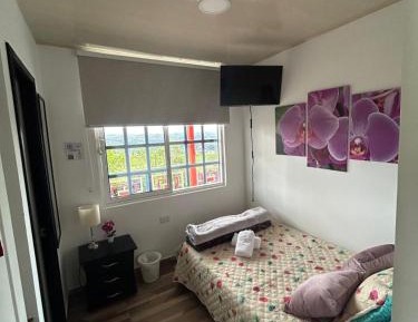 Large Single Room