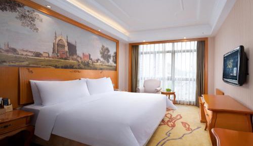 Standard Queen Room