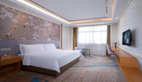 Superior Queen Room
