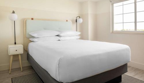Studio with One Queen Bed and Sofa bed