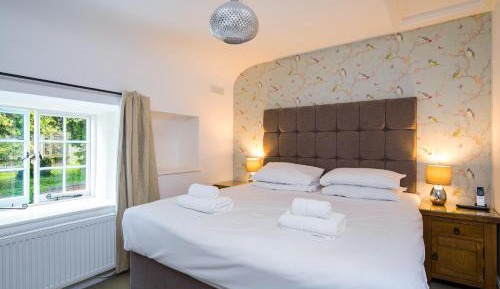 Double or Twin Room (Pets Not Allowed)