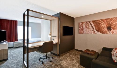 Suite, 1 King, Sofa bed