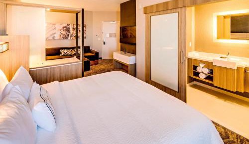 Executive Suite with Sofa Bed