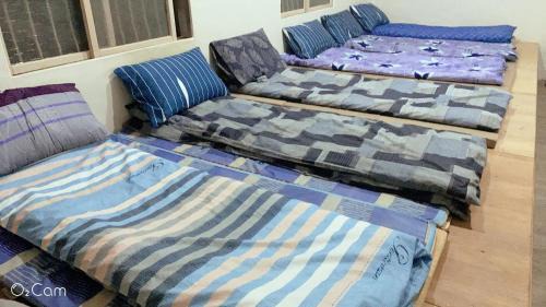 8-Bed Mixed Dormitory Room