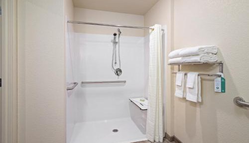 King Room with Roll-In Shower - Disability Access