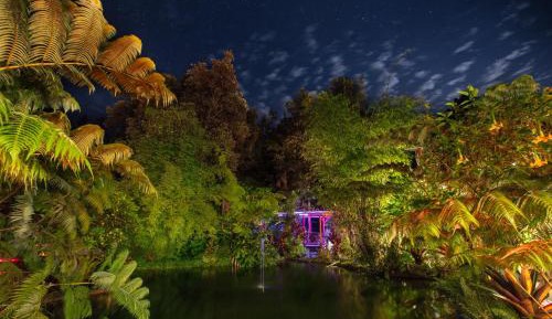 Standard Room, 1 Queen Bed (Chalet Kilauea Hotel)