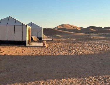 Tent