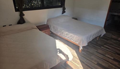 Large Twin Room