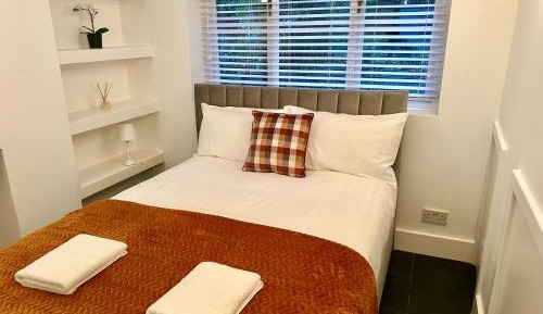 Deluxe One-Bedroom Apartment