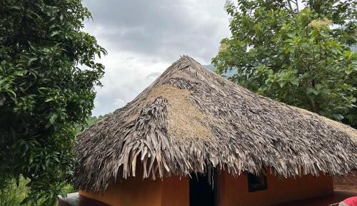 Standard Villa