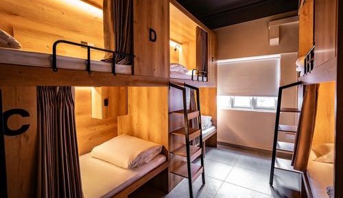 6-Bed Mixed Dormitory Room