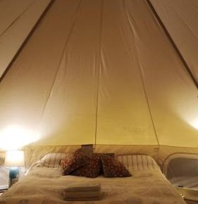 Room #986613603