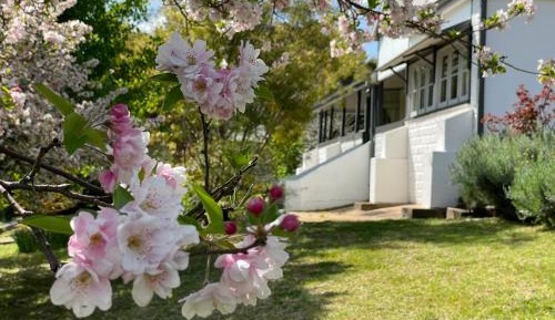 Holiday Home