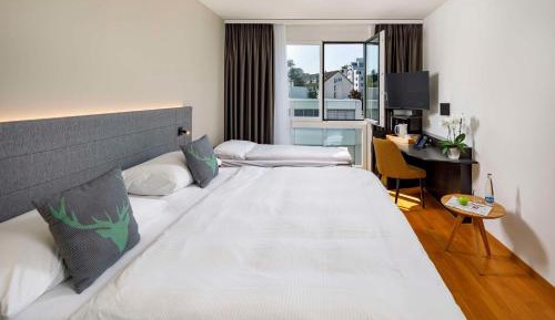 Twin Room with Extra Bed