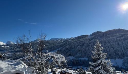 Three-Bedroom Chalet