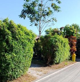 Family Room with Private Bathroom
