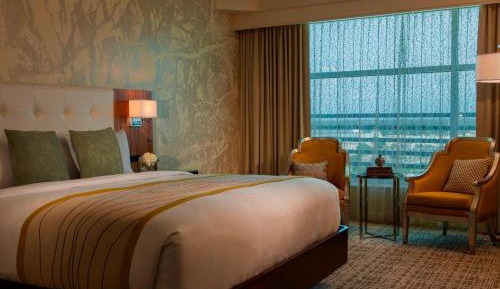 King or Two Queen Room