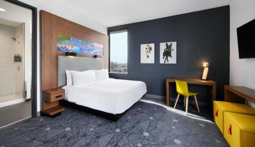 Suite, 1 King
