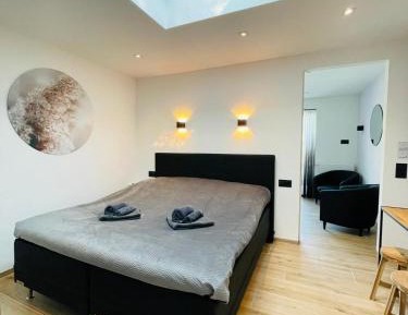 Junior Suite with Terrace