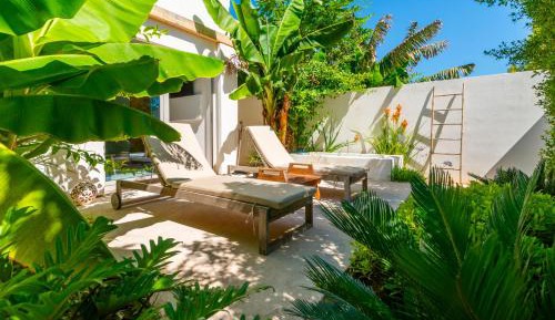 Deluxe One-Bedroom Apartment