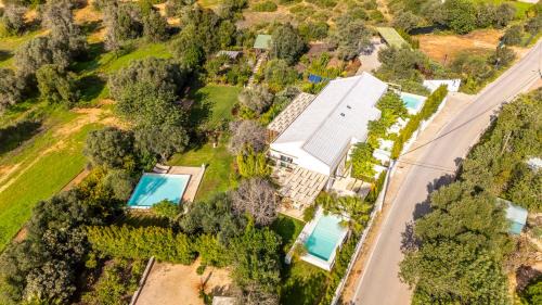 Deluxe One-Bedroom Apartment with Garden View