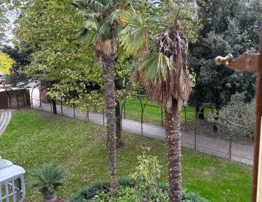 Quadruple Room with Garden View