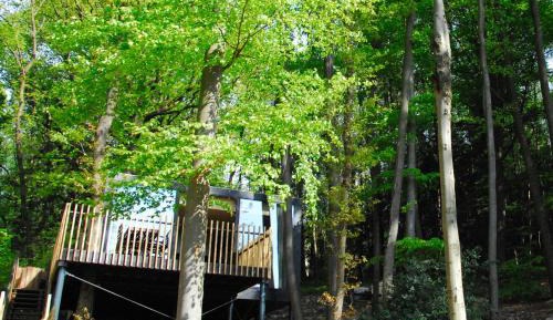 Villa with Garden View