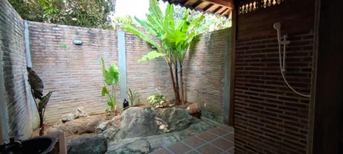Deluxe Bungalow with Sea View
