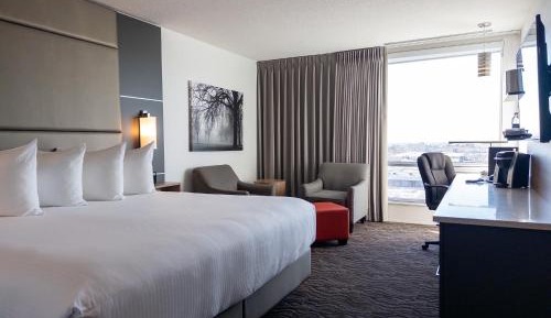 Premium Queen Room - Newly Renovated