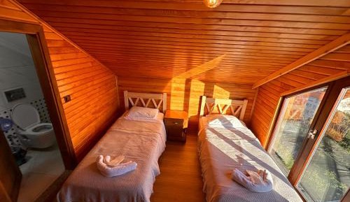 Standard Twin Room with Mountain View