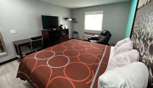 King Room - Pet/Friendly/Non-Smoking