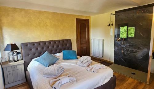 Deluxe Double Room with Shower