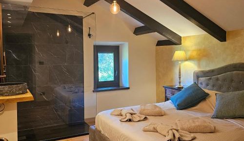 Deluxe Double Room with Shower