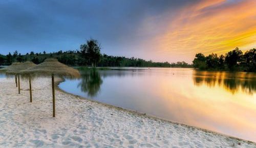 One-bedroom Loft Apartment 